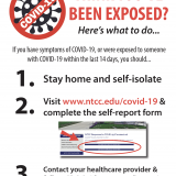 self report flyer