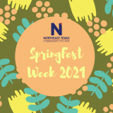 springfest banner