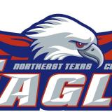 eagles softball logo