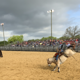 bronc rider