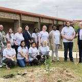 tree dedication