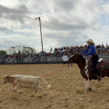 Peyton Cooper roping