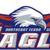 eagle logo