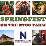 springfest header