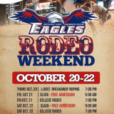 rodeo poster