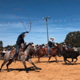 team roping photo