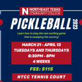 pickleball poster graphic