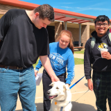 students petting a dog