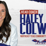 haley colwell