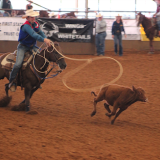 Brennen Wilson in the Tie down competition