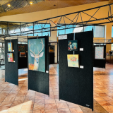 art exhibit