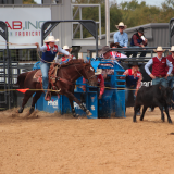 jill white breakaway roping
