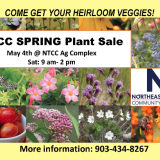 plant sale graphic