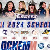 softball schedule poster