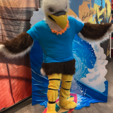 eagle on surfboard