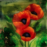 Poppies by Laura Abrams