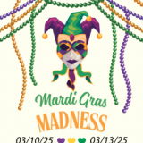 mardi gras poster