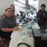 student researchers