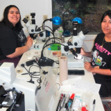 students working in lab