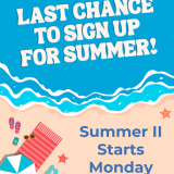summer graphic