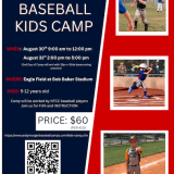 baseball camp flyer
