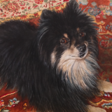 painting of dog