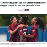 screenshot from article