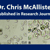 McAllister published