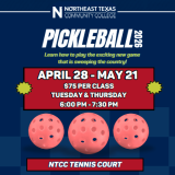 pickleball flyer graphic