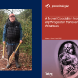 McAllister research cover 