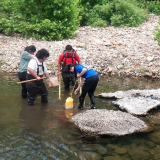 students in river doing fish research