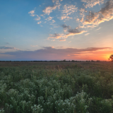 prairie sunrise