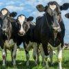 Raw Milk Seminar