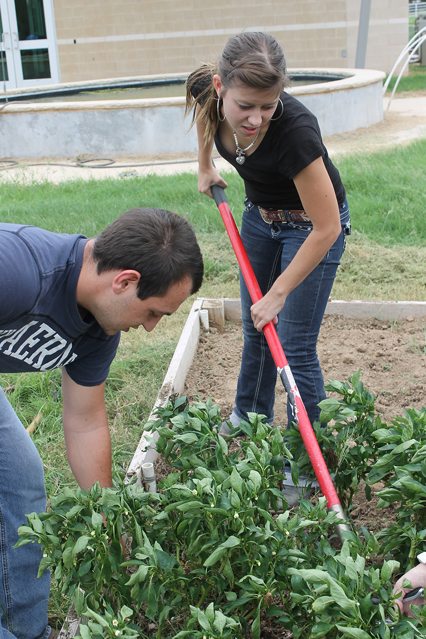 NTCC /uploads/2013/04/students-farming.jpg